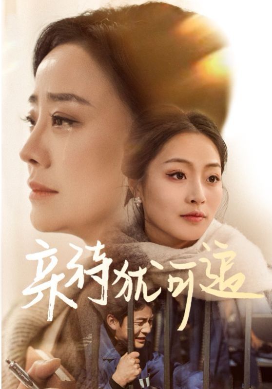 亲待犹可追(全集)