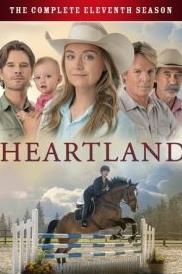 心灵之地第十一季(全集)