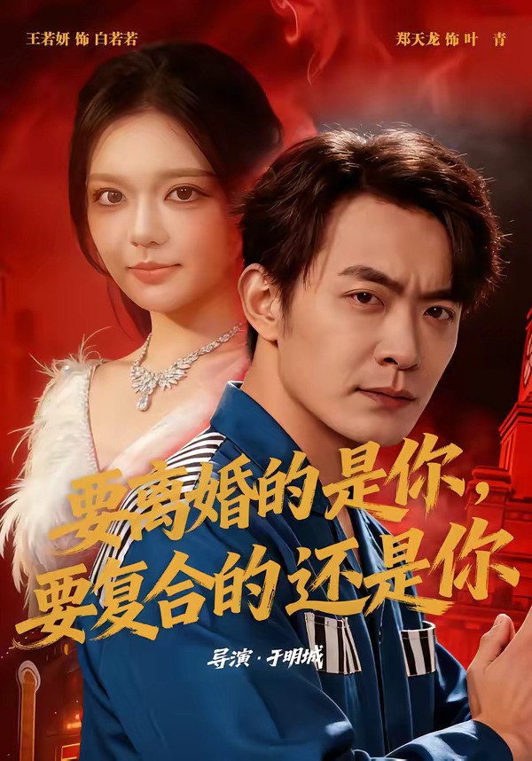 要离婚的是你，要复合的还是你(全集)
