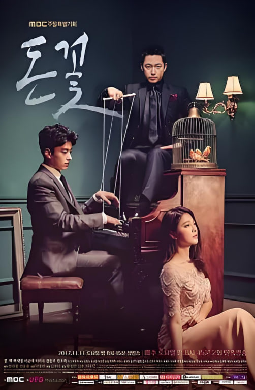 金钱之花(全集)