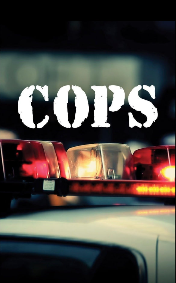 执法先锋 第三十七季(全集)