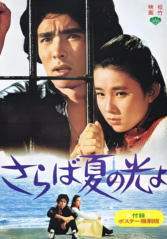 再见，夏日之光(全集)