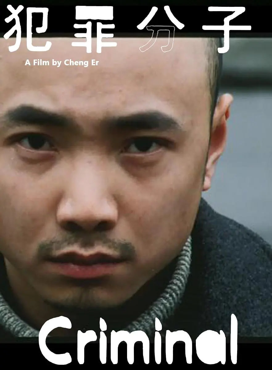 犯罪分子(全集)